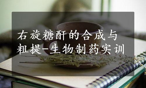 右旋糖酐的合成与粗提-生物制药实训