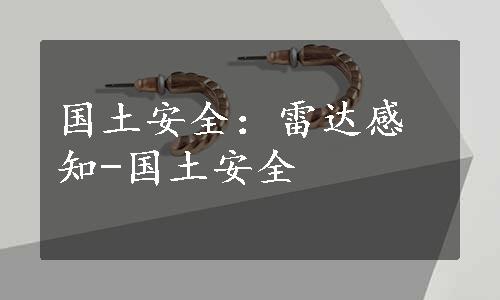 国土安全：雷达感知-国土安全