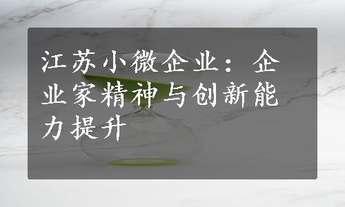 江苏小微企业：企业家精神与创新能力提升