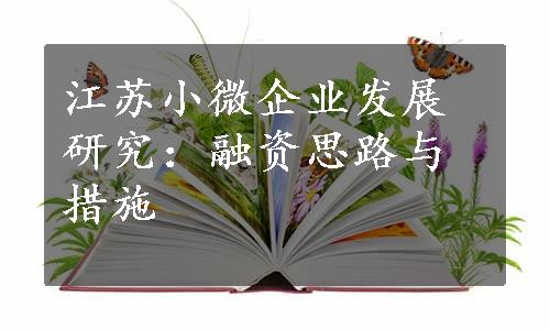 江苏小微企业发展研究：融资思路与措施