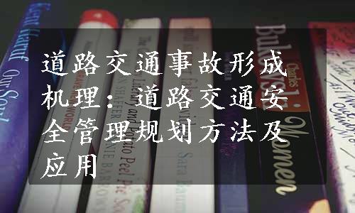 道路交通事故形成机理：道路交通安全管理规划方法及应用