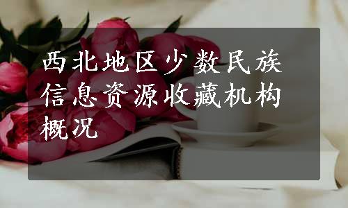 西北地区少数民族信息资源收藏机构概况