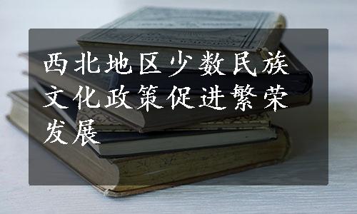 西北地区少数民族文化政策促进繁荣发展