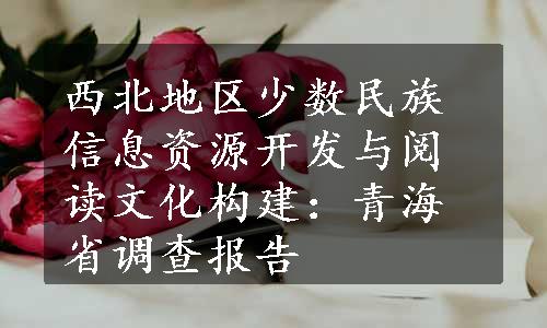 西北地区少数民族信息资源开发与阅读文化构建：青海省调查报告