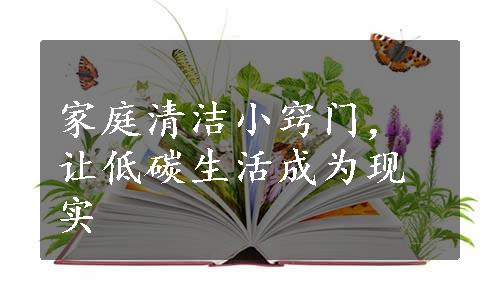 家庭清洁小窍门，让低碳生活成为现实