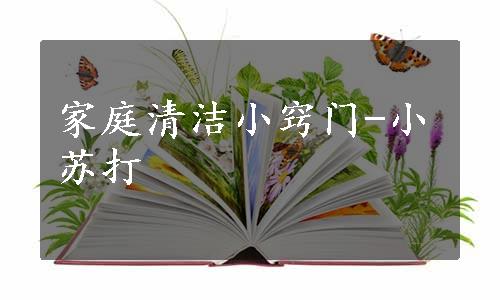 家庭清洁小窍门-小苏打