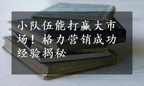 小队伍能打赢大市场！格力营销成功经验揭秘