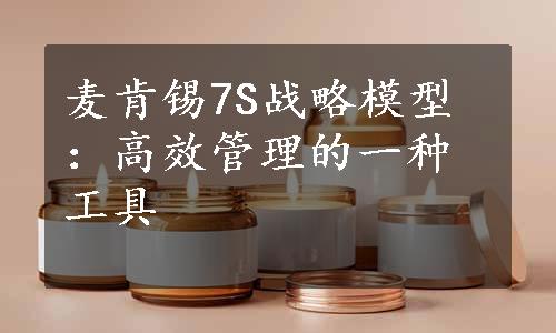 麦肯锡7S战略模型：高效管理的一种工具