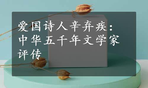 爱国诗人辛弃疾：中华五千年文学家评传