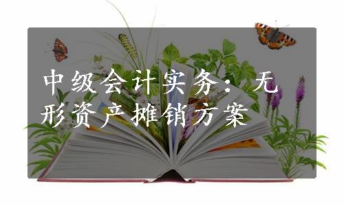 中级会计实务：无形资产摊销方案