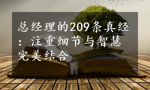 总经理的209条真经：注重细节与智慧完美结合