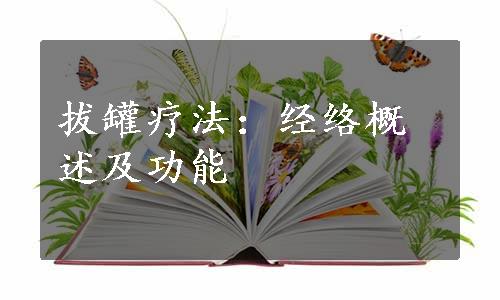 拔罐疗法：经络概述及功能