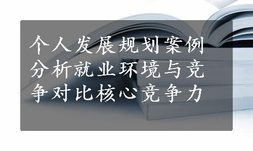 个人发展规划案例分析就业环境与竞争对比核心竞争力