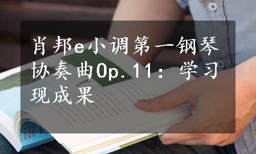 肖邦e小调第一钢琴协奏曲Op.11：学习现成果