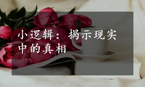 小逻辑：揭示现实中的真相