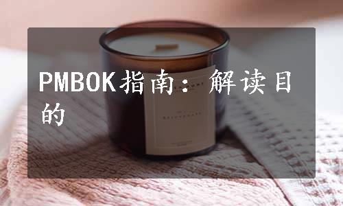 PMBOK指南：解读目的