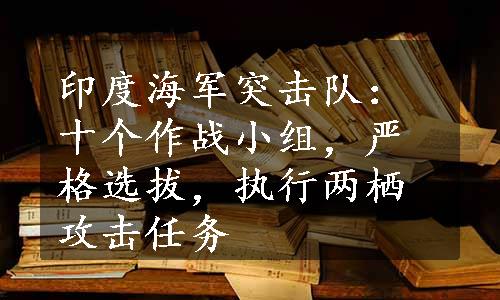 印度海军突击队：十个作战小组，严格选拔，执行两栖攻击任务