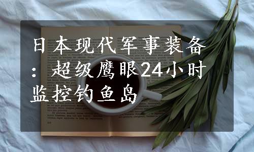 日本现代军事装备：超级鹰眼24小时监控钓鱼岛