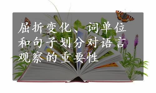 屈折变化、词单位和句子划分对语言观察的重要性