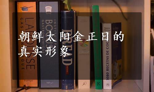 朝鲜太阳金正日的真实形象