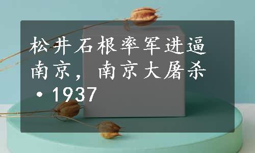 松井石根率军进逼南京，南京大屠杀·1937