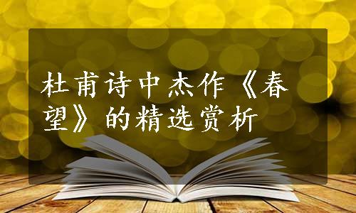 杜甫诗中杰作《春望》的精选赏析