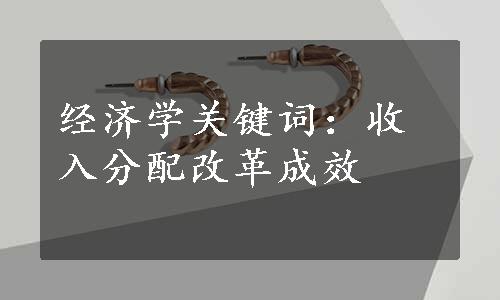 经济学关键词：收入分配改革成效