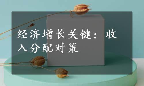 经济增长关键：收入分配对策