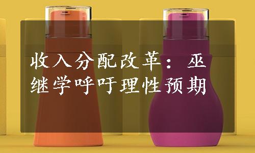 收入分配改革：巫继学呼吁理性预期