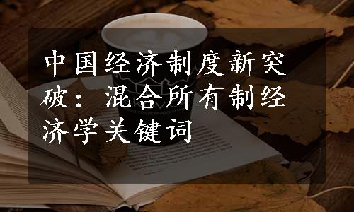 中国经济制度新突破：混合所有制经济学关键词