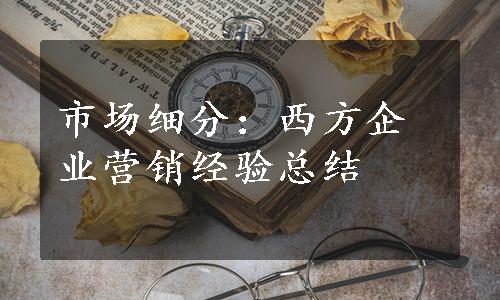 市场细分：西方企业营销经验总结