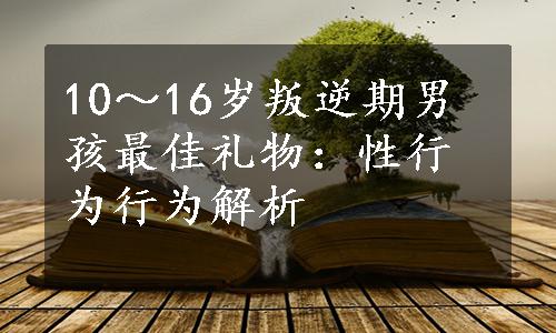 10～16岁叛逆期男孩最佳礼物：性行为行为解析