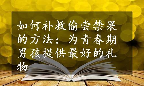 如何补救偷尝禁果的方法：为青春期男孩提供最好的礼物