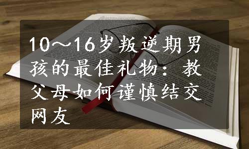 10～16岁叛逆期男孩的最佳礼物：教父母如何谨慎结交网友