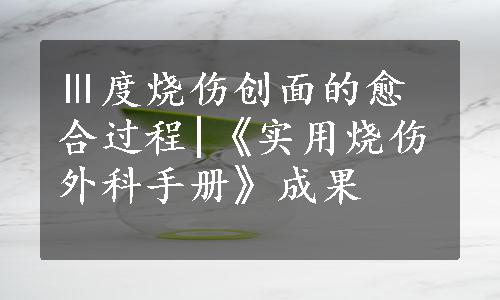 Ⅲ度烧伤创面的愈合过程|《实用烧伤外科手册》成果