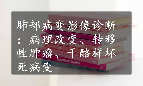 肺部病变影像诊断：病理改变、转移性肿瘤、干酪样坏死病变