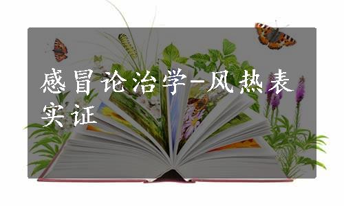 感冒论治学-风热表实证