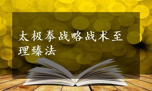 太极拳战略战术至理臻法