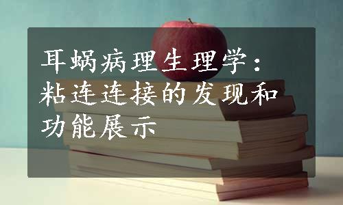 耳蜗病理生理学：粘连连接的发现和功能展示