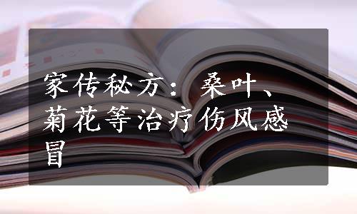 家传秘方：桑叶、菊花等治疗伤风感冒