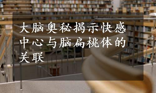 大脑奥秘揭示快感中心与脑扁桃体的关联