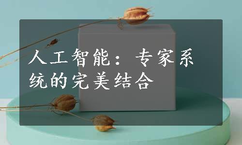 人工智能：专家系统的完美结合